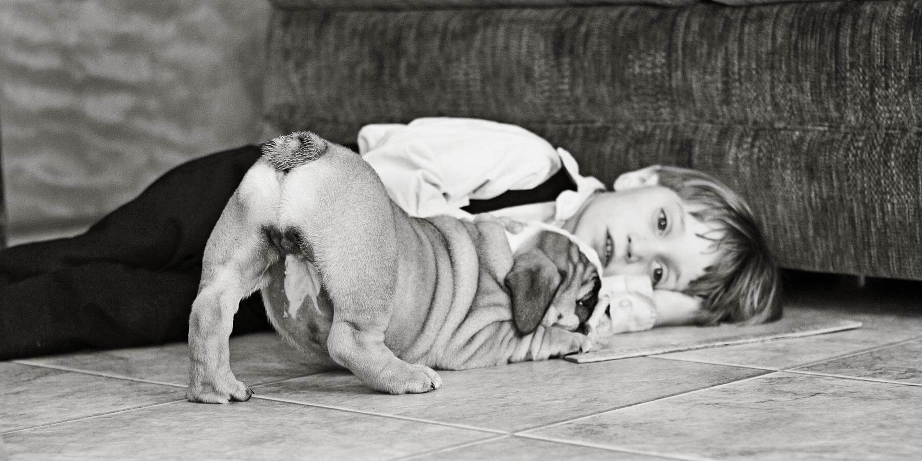 dog and boy