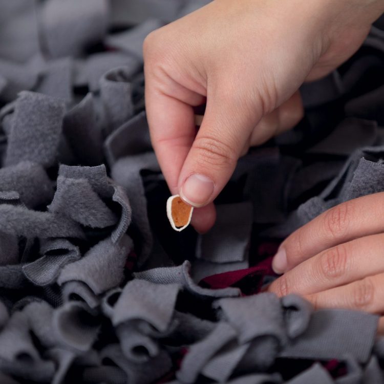 sniffing carpet strategy game Sniffing Carpet - Image 2