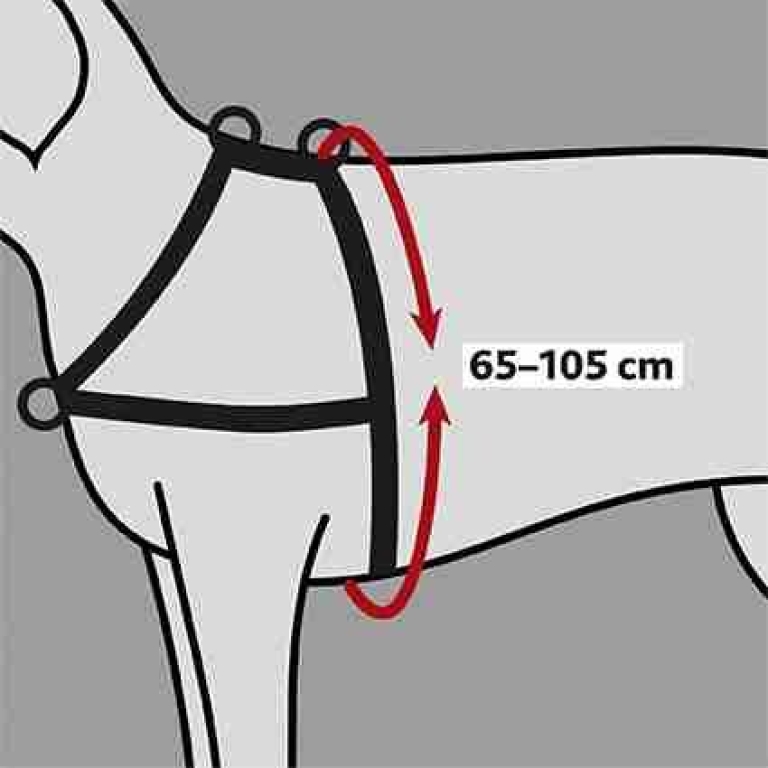 PHO_GRA_PRO_13057-1_#SALL_#AWK_#V1 Lead n' Walk Soft Harness (L/XL) - Image 3