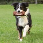 Prey Dummy - Image 3