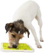 Lick & Snack Plate - Image 4