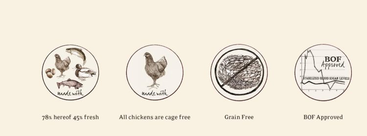 Essential Older 10kg - Image 6