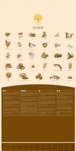 Essential Older 10kg - Image 2