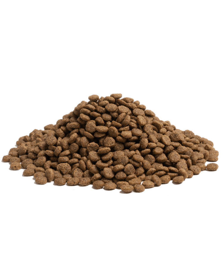 Essential Older 10kg - Image 3