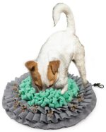 Foldable Sniffing Carpet