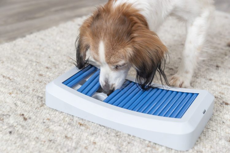 Πλατφόρμα Φαγητού Με Ράβδους - Image 3