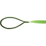 Εκπαιδευτικός Ιμάντας 10m - Image 2