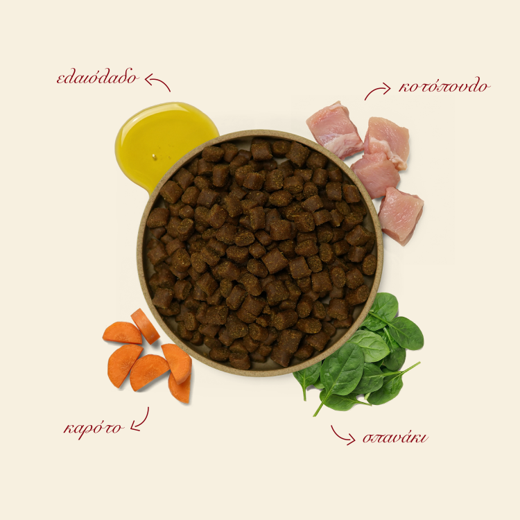 Ethelia Slow-Cooked Cold-Pressed Healthy Dogs 12kg - Image 5